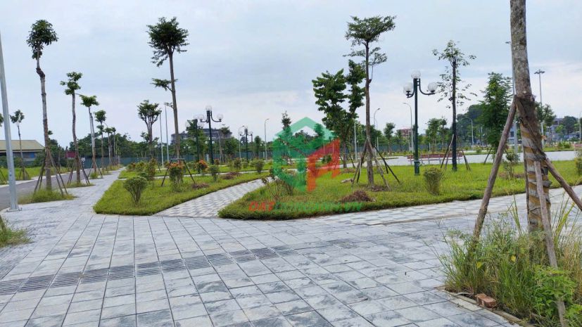 Bán đất đấu giá x1 nguyên khê - 80m - view công viên - 6734767