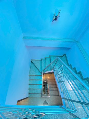 Quận 11  kế đầm sen 5 tầng 50m²  hẻm 5m  dòng tiền 6734776