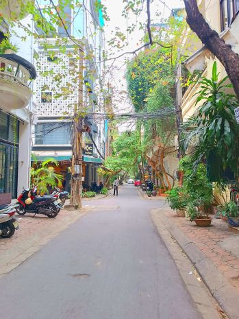 Lô góc 2 mặt tiền, phân lô ô tô hoàng ngọc phách 50m² x 4t 6735321