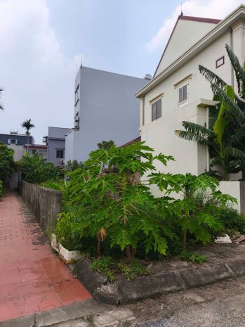 Bán lô đất mặt đường khu phân lô tđc nam hải, hải phòng 6736925