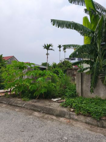 Bán lô đất mặt đường khu phân lô tđc nam hải, hải phòng 6736926