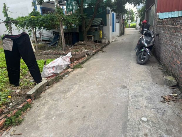 Bán đất hương mạc  từ sơn  bắc ninh 6737471