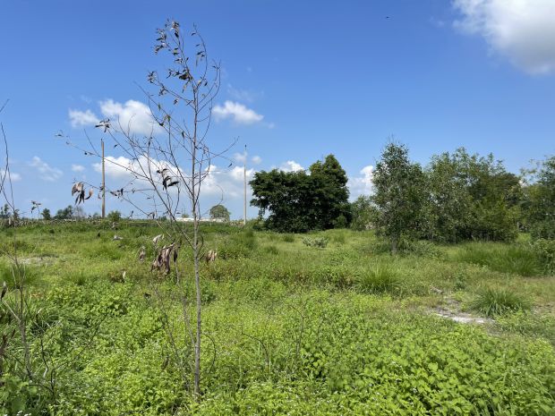 Bán 2000m2 đất thổ cư lô 2 lê quang định, tx lagi giá ngộp 6740218