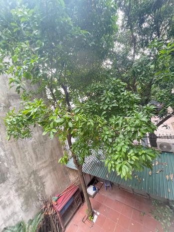 Bán siêu phẩm láng hạ, đống đa - 218m² - mt hơn 13m - kinh 6746231