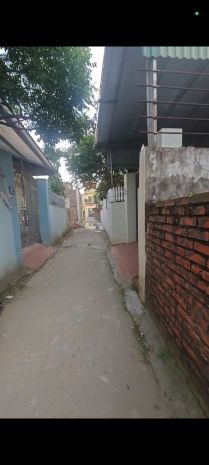 Chính chủ mở bán 2 lô f0 đội 1 xã tự nhiên cũ gần chợ diện 6751747