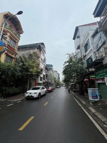 Cho thuê biệt thự liền kề - 2 mặt tiền - kinh doanh - ô tô 6754043