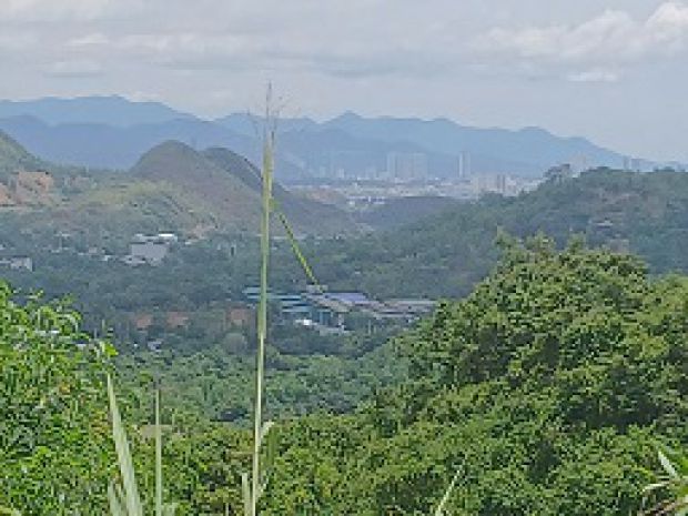 Cơ hội đầu tư vàng  đất ven biển nha trang 6755110