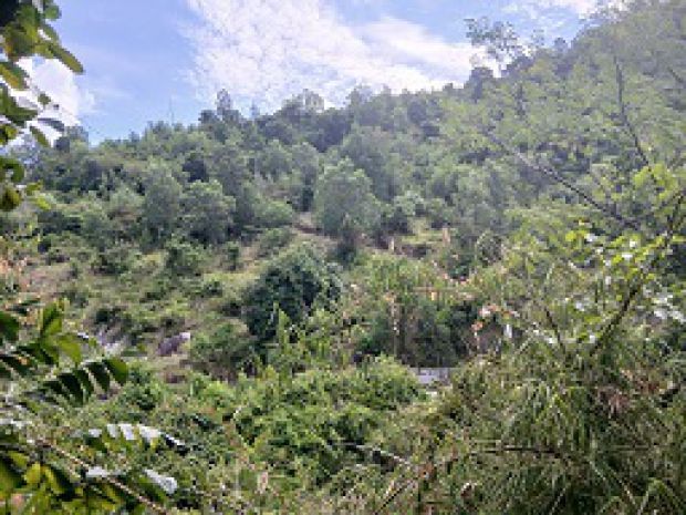 Cơ hội đầu tư vàng  đất ven biển nha trang 6755112