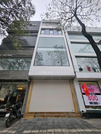 Bán nhà mp trúc khuê, dt 50m2 x 6 tầng, mt: 3.8m, đường 6755372