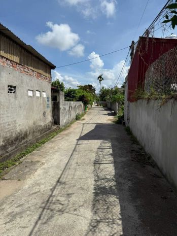 Bán đất vũ vị, xã minh tân, hải phòng 6757931