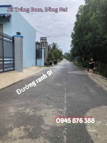 160 6m² thổ cư trảng bom cạnh kcn giang điền giá chỉ 1 3 tỷ 6758883