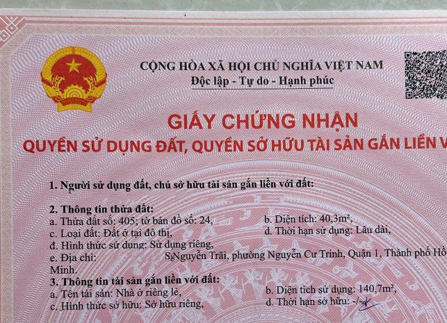 Chính chủ bán hxh nguyễn trãi, p. nguyễn cư trinh, q.1: dt 6763022