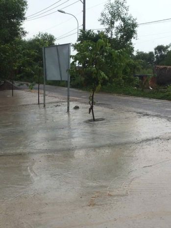 Cần bán nhanh lô đất 7000m² có 300m² thổ cư kèm nhà cấp 6764681