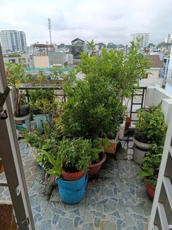 Nguyễn tiểu la q10- vị trí đẹp, hxh đỗ cửa - nhà 5 tầng 6765818