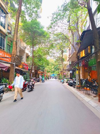 Phân lô vip nguyên hồng, ô tô  vỉa hè, cho thuê 25 6766227