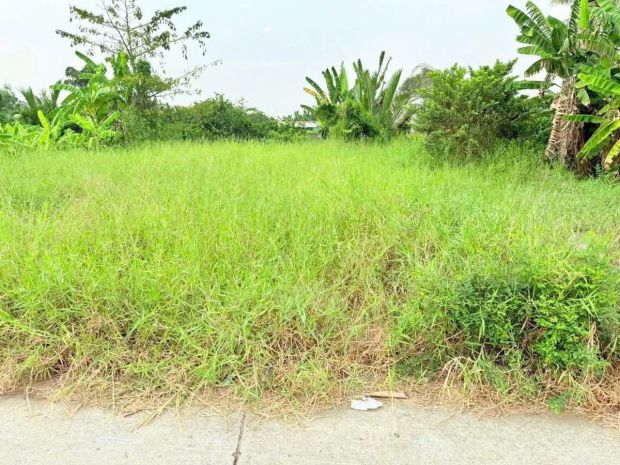 Đất đẹp  mặt tiền - chính chủ bán lô đất tiềm năng đường 6766241