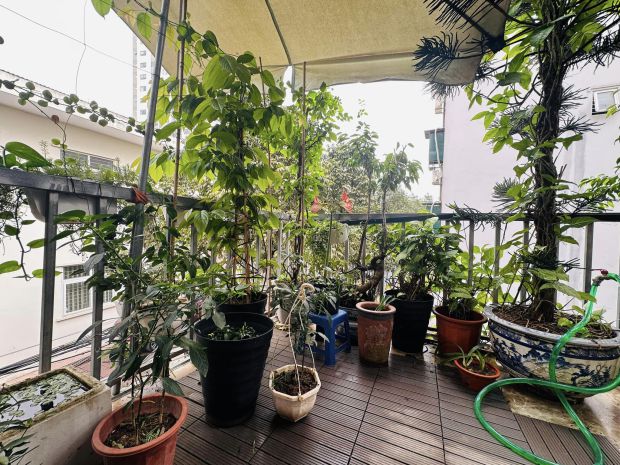 Siêu hiếm  duy nhất 1 căn ở bắc từ liêm  cách ubnd 6766557