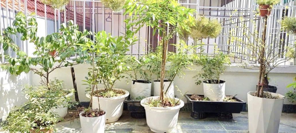 Đồng mai hà đông - chính chủ cần bán nhà gấp . dt 34m2 5 6766803