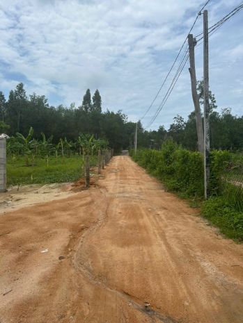 Chỉ 700 triệu lô đất 6m x 28m hẻm hoàng văn thụ, lagi giá 6770219