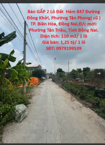 Chính chủ cần bán gấp 2 lô đất  hẻm 847 đường đồng khởi, 6771337