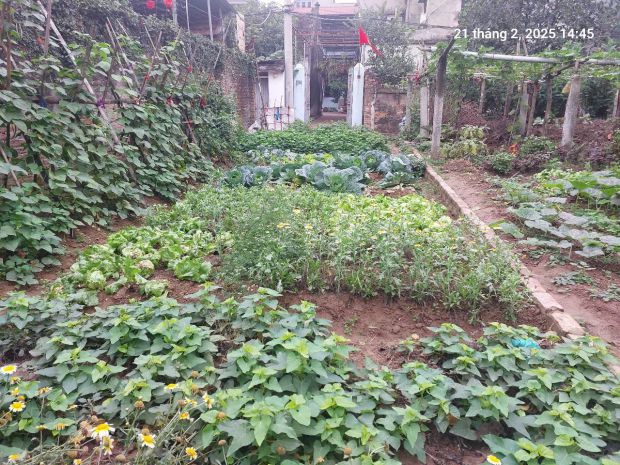 Chủ cũ tìm chủ mới 92m2, 4.6m, 5.75 tỷ, nở hậu, ô tô, 6772555