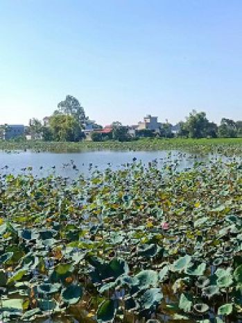 Cơ hội hiếm  đất đẹp giá rẻ hơn 10 vị trí vàng ngay cụm 6772565