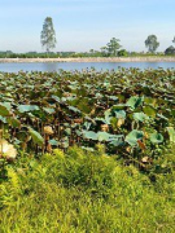 Cơ hội hiếm  đất đẹp giá rẻ hơn 10 vị trí vàng ngay cụm 6772566