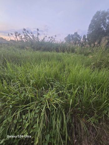 Bán đất ở nông thôn  thạnh đức, bến lức 6773475