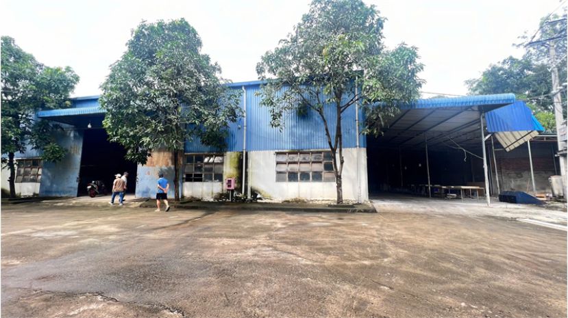 X105 chuyển nhượng nhà xưởng đang sx gỗ xuất khẩu, xưởng xa 6775808