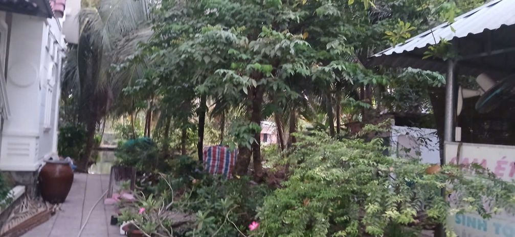 Cần bán biệt thự sang trọng khuôn viên đất rộng 2.400m2 sát 6776253