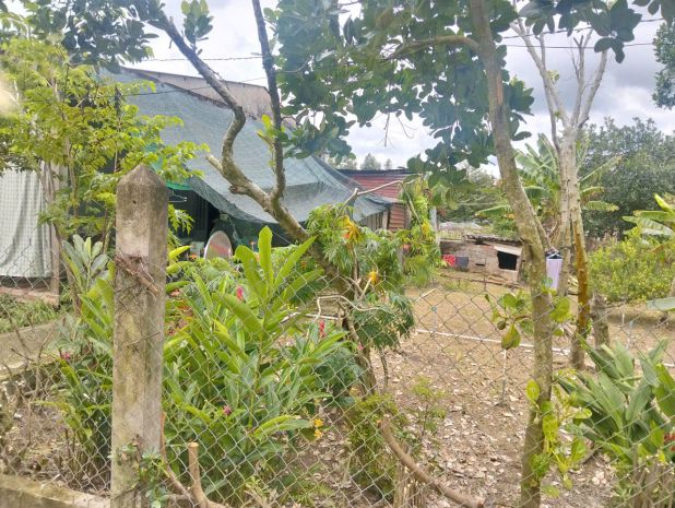 Cần bán đất vườn giá tốt  hơn 900m²  mặt tiền kênh 20, xã 6782503