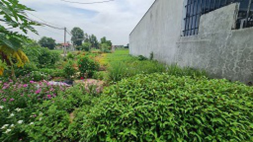 Cần bán đất ở nông thôn  xã hòa khánh đông, huyện đức hòa, 6783470