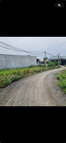 Cần bán đất ở nông thôn  xã hòa khánh đông, huyện đức hòa, 6783471
