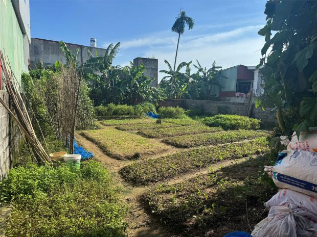 2 tỷ550 191m2 kim đới hữu bằng kiến thụy zalo 0567222555 6783642