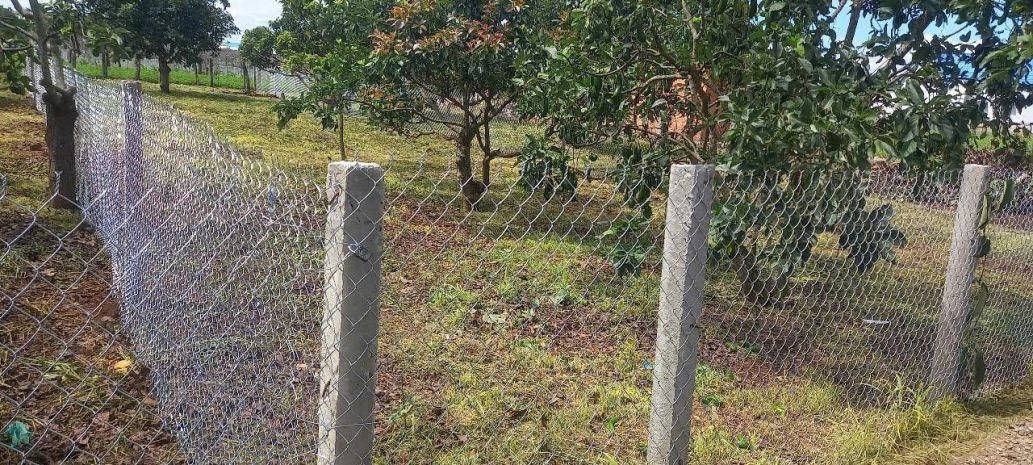 Bán 394m2 đất xã tân hội, đức trọng lâm đồng 6783931