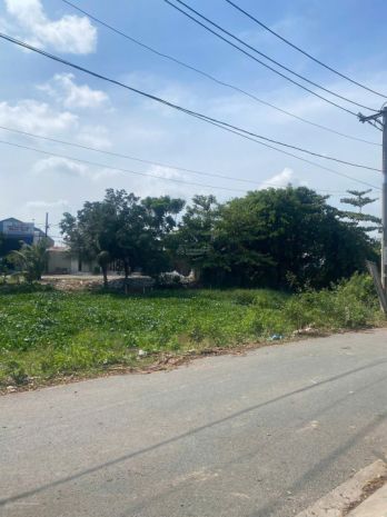 Chính chủ bán gấp chính chủ bán gấp lô đất 146.8m2 - mt 6784666