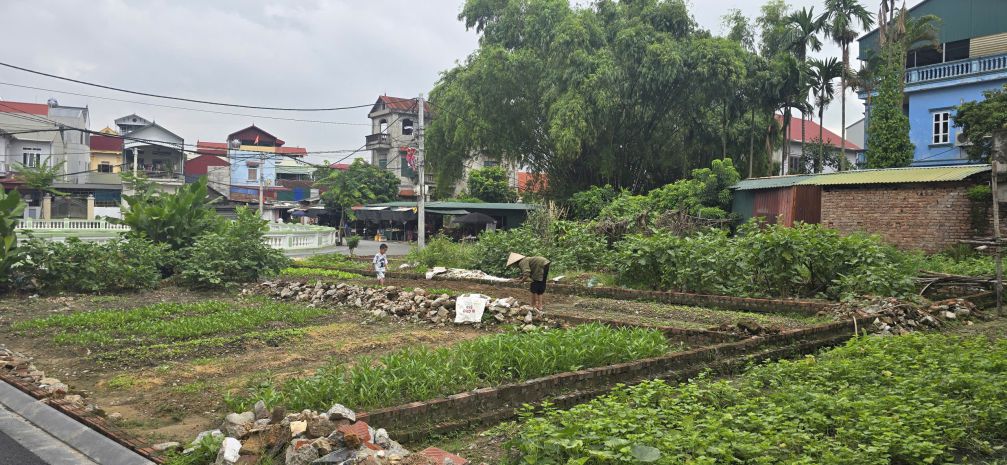Bán đất mặt hồ gia lộc - gia lương, xã việt hùng, đông anh 6785651