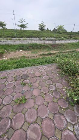 B.á.n đất đấu giá đan phượng, phân lô, ô tô tránh, gần vành 6786736