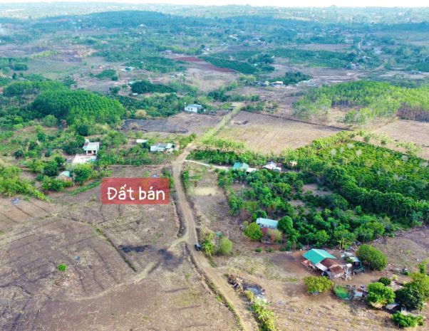 Ea kiết-cư mgar- đắk lắk dt 1000m2 đường oto tới đât giá 6787685