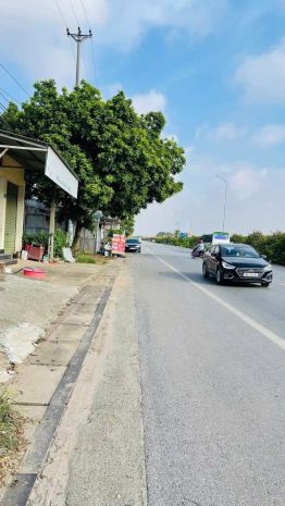 Chính chủ bán đất mặt đường 32c  cổng đền hùng, việt trì, 6788917