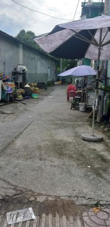 Chính chủ cần bán đất tặng kèm nhà cấp 4 nguồn tiền ổn định 6789570