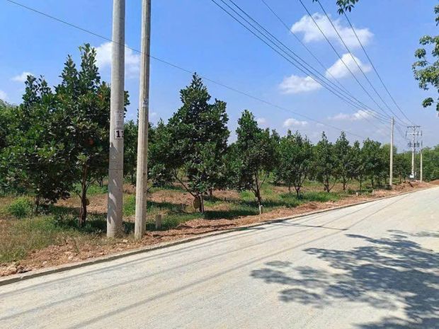 Bán đất giá rẻ  mặt đường nhựa 6790971