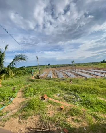 Bán 2.4 hecta đất tân hải - tx lagi giá ngộp 120  triệu sào 6791336