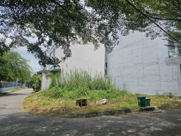 Giảm ngay 400 triệu  lô góc 145m² khu omely, đào tông 6791371