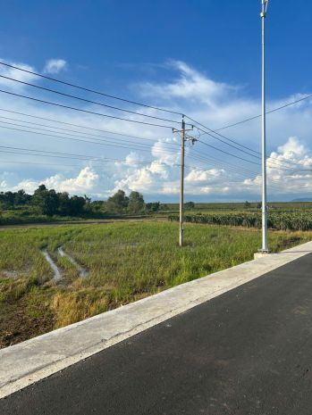 Bán 27.5m x 32m đất mặt tiền nguyễn minh châu - tân hải - 6791388