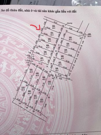 Cần bán nhanh  đất thọ lộc, phúc thọ - chỉ hơn 1 tỷ 6792271