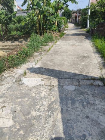 Bán đất lương tài, bắc ninh. 93m2 * mt 5m * 1,25 tỷ. ô tô 6792443