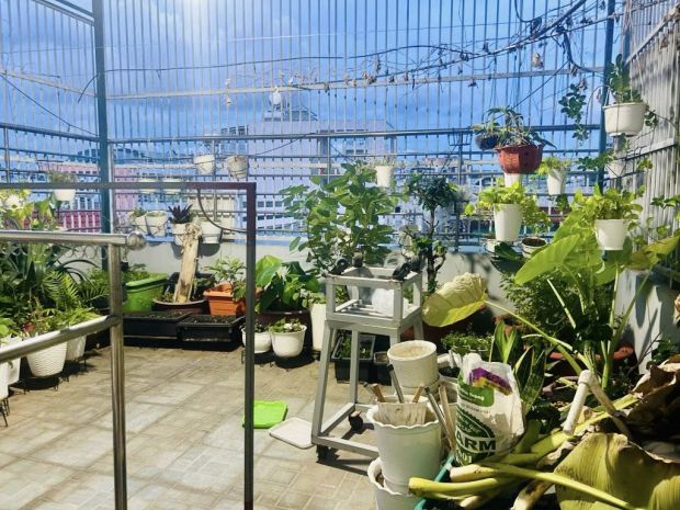 Gò dầu  hxh thông  nhà đẹp lô góc  75m ngang 5  4 tầng 6792724