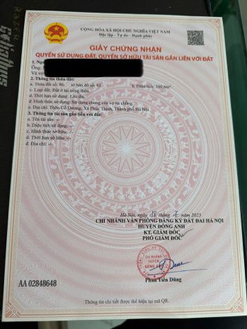 Bán đất cổ dương tiên dương - ô tô tránh - trục chính - 6793993