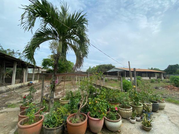 Bán lô đất tại đức hòa, long an 53  95m 35 tỷ 6794052